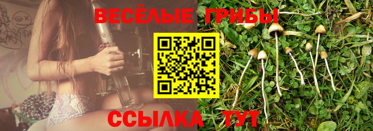Киров  Псилоцибиновые грибы мицелий  Галлюциногенные грибы GOLDEN TEACHER  Вход с VPN 