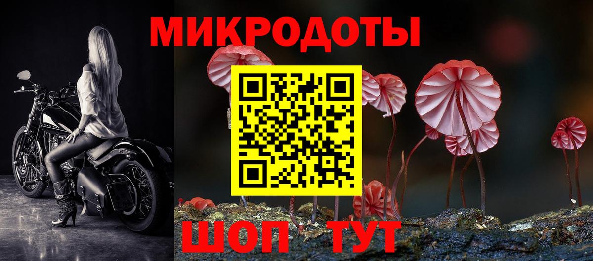 Галлюциногенные грибы Psilocybine cubensis Киров